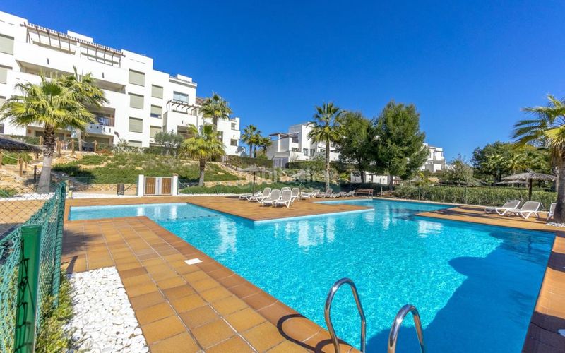 Foto 8e04f2b0-d988-4448-9ee5-87a5a64119de. Àtic amb aparcament piscina a Lomas de Campoamor - Las Ramblas Orihuela
