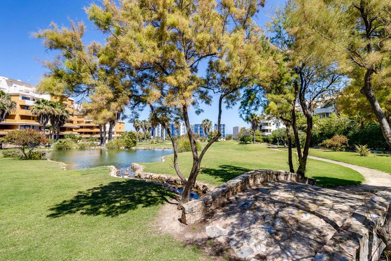 Foto 68dc2ebe-a3e8-4c69-a175-28ecab465463. Apartament amb piscina a Punta Prima Torrevieja