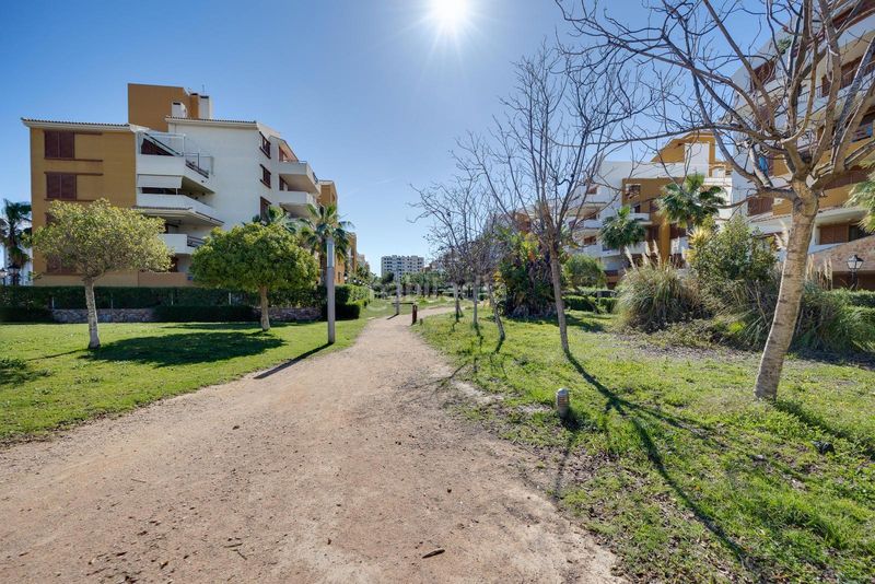 Foto cbf80688-a2a9-4b6d-b66a-868312a11da6. Apartament amb piscina a Punta Prima Torrevieja