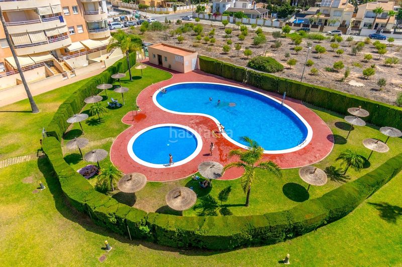 Foto 2ef39a70-f28c-4795-9b82-3994e710cc1f. Apartament amb piscina a Campoamor Orihuela