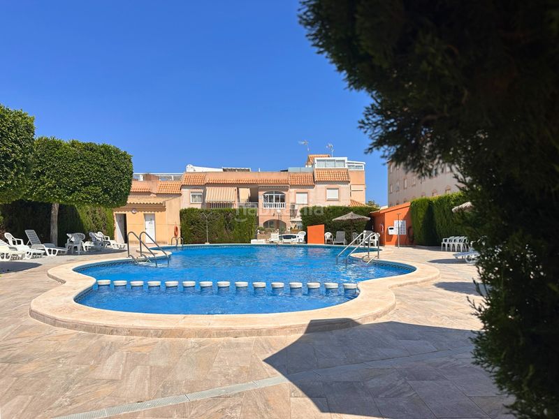 Foto 10581c89-5a01-494f-8a64-d847f8890a42. Àtic amb piscina a Parque de las Naciones Torrevieja