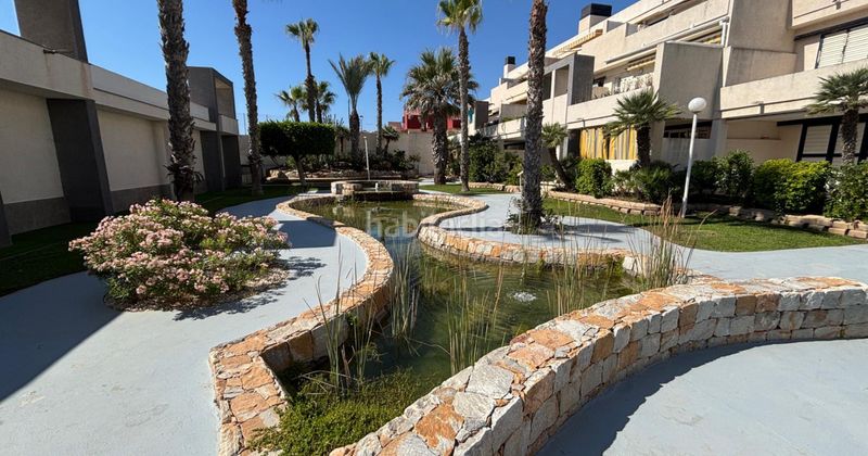 Foto 0d8d91d1-c7e9-4cf8-b4b7-9aa131198ebe. Apartament amb piscina a Cañada del Molino Torrevieja