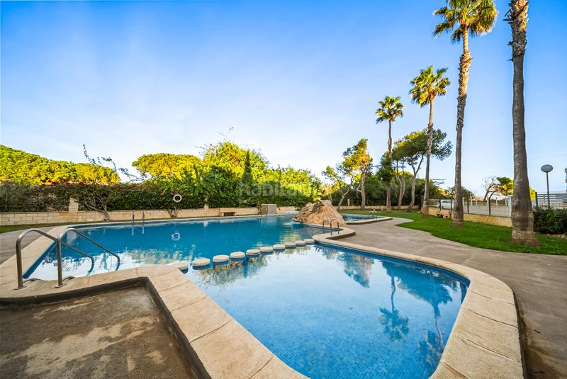 Foto 5d802b96-0ee6-4ca5-b36f-44d3cc428b5c. Apartament amb piscina a Gaspar Perelló Torrevieja