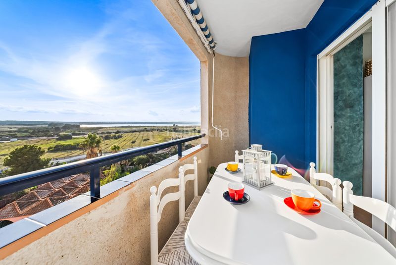 Foto 6e61fc0a-114f-41ae-8a58-dc4b1e3453db. Apartament amb piscina a Gaspar Perelló Torrevieja