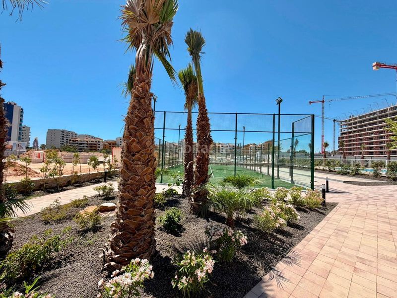 Foto 0f269954-94da-4ed6-b126-fb64bac9affd. Apartament amb aparcament piscina a Punta Prima Torrevieja