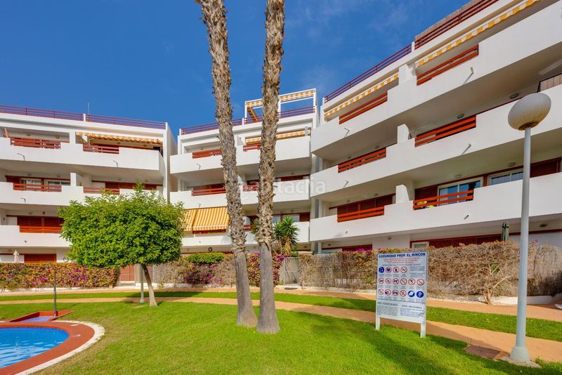 Foto 50aa27c4-9ee1-4772-a44e-0eba3ce79666. Apartament amb piscina a Zeniamar - Horizonte - La Campana Orihuela