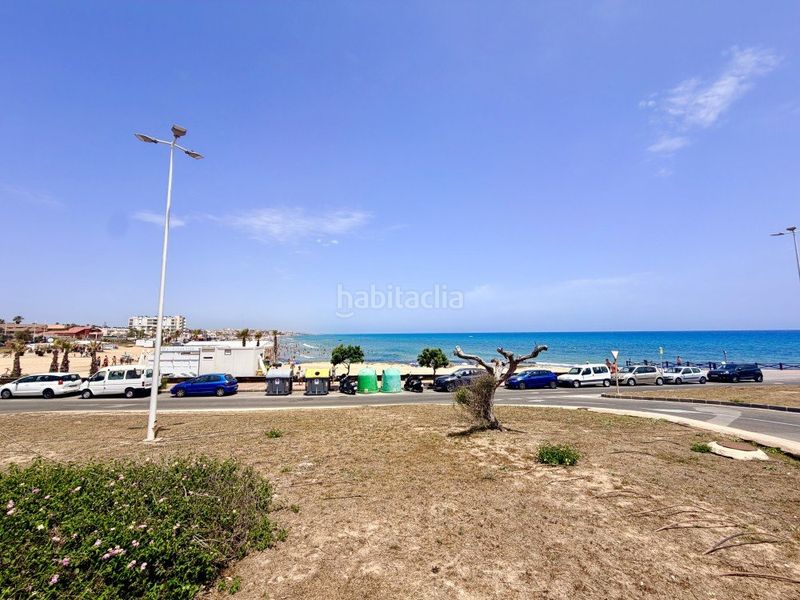 Foto 7d69d8c9-8860-49ab-a1c5-e556ad985f13. Planta baixa a Cabo Cervera Torrevieja