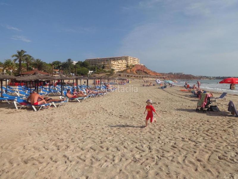 Foto 7d04ad9a-e971-4d14-9b52-5ae03720df0a. Apartament amb piscina a Campoamor Orihuela