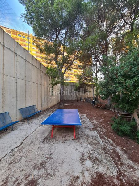 Foto 3d4d690e-c9f0-4cbb-8e27-8e5c444078d6. Planta baixa amb piscina a Campoamor Orihuela