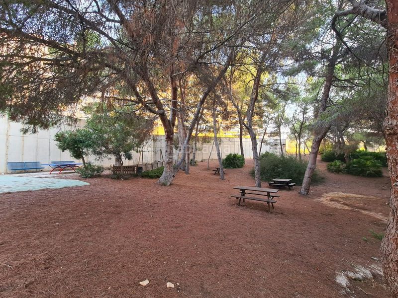 Foto 7a6b57ff-fe01-4039-8db9-4ce244800ef7. Planta baixa amb piscina a Campoamor Orihuela