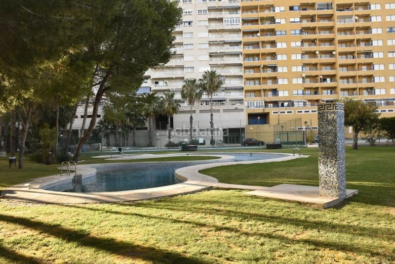 Foto bccded1c-bc2a-4126-ac06-77ad6cdf9818. Planta baixa amb piscina a Campoamor Orihuela