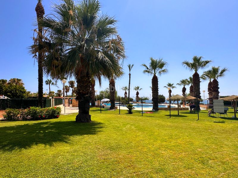 Foto 8181c150-93e1-4f4a-b3c6-85d70b7bb467. Planta baixa amb piscina a Lomas de Cabo Roig - Los Dolses Orihuela