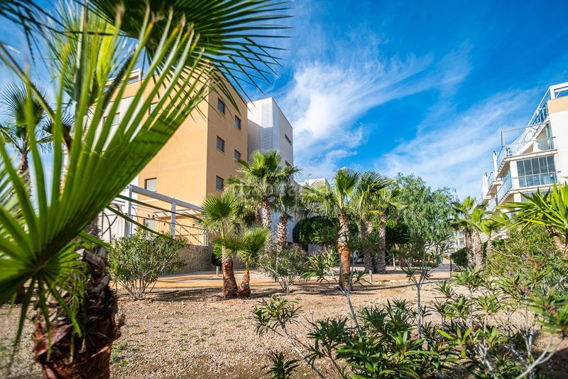 Foto d90b3e64-6953-4e67-b51b-6a8737c09502. Erdgeschoss mit parking pool in Villamartín-Las Filipinas Orihuela