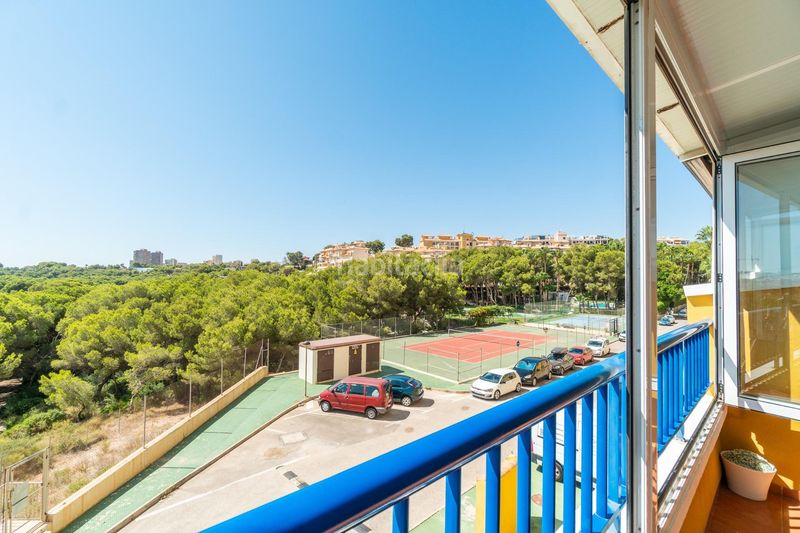 Foto c9a6273c-f99f-493f-8e85-b967d1237ad3. Apartament amb piscina a Campoamor Orihuela