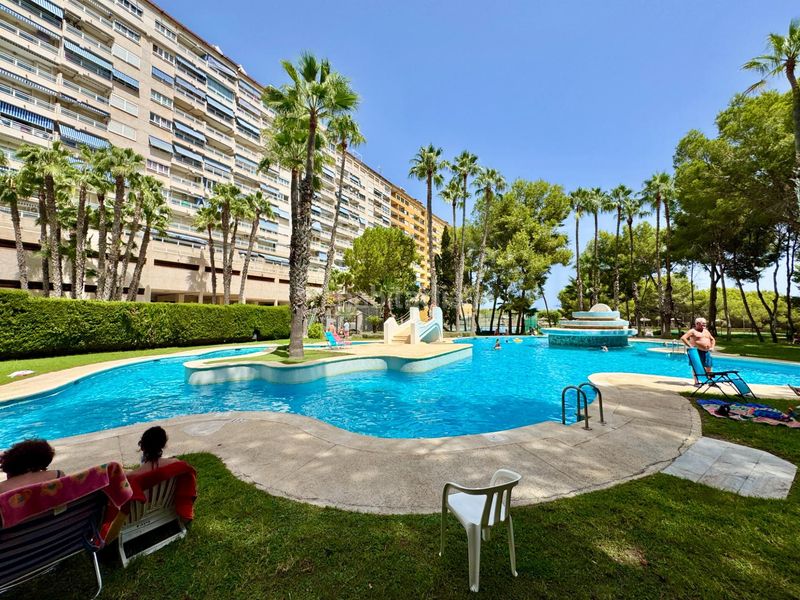 Foto b04fb313-96e6-4a5b-a56f-1fbe889ebbe3. Apartament amb piscina a Campoamor Orihuela