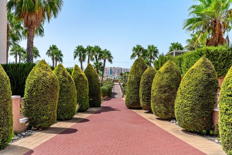 Foto ad65db56-fc29-43c5-a0ad-2769fbdbd2ce. Apartament amb aparcament piscina a La Florida Orihuela