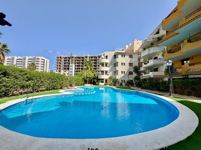 Foto 40ed302c-c6e7-4fe5-bad4-0ad6e668cc31. Apartament amb aparcament piscina a Punta Prima Torrevieja