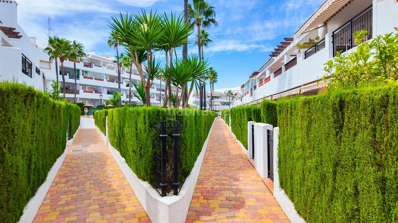 Foto e1e7bbb9-be90-47d3-b27a-e1136c4bb304. Dachwohnung mit parking pool in Villamartín-Las Filipinas Orihuela