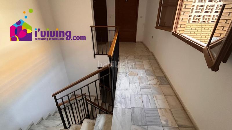 Foto cbd73e48-93f7-4f68-9aeb-84f6edadf540. Pis a Albox