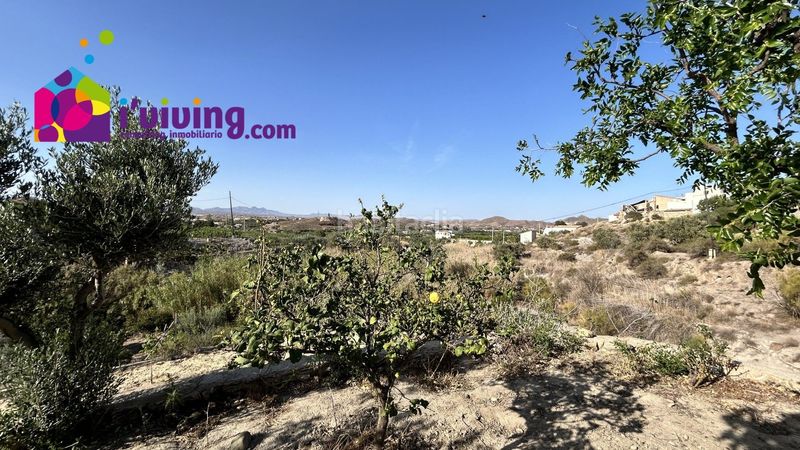 Foto 1fd4d8db-d59d-4b97-9b41-08b670874dbd. Alquiler masía cortijo en calle hoya baja 6 en Cantoria