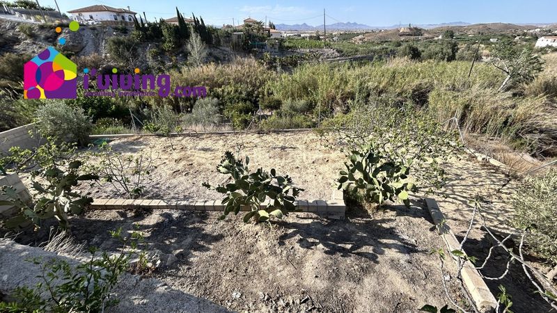 Foto a75a702e-0e4d-4e46-be9f-c7f6e1ce078c. Alquiler masía cortijo en calle hoya baja 6 en Cantoria