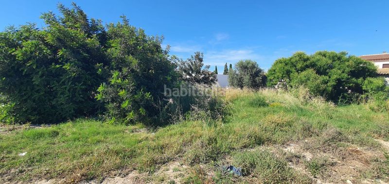 Foto 2c59e2c1-0a79-46c4-b6d8-820d48bf9170. Terreny residencial a Cantoria