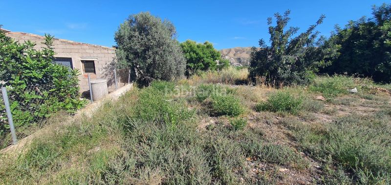 Foto 31a3c308-2b8a-49c5-a2c2-9f72a0f9cec5. Terreny residencial a Cantoria