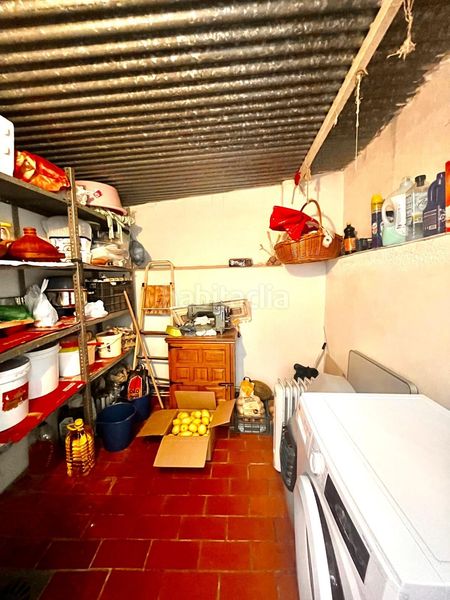 Foto ee54e3fd-83c9-4460-8c61-a3e12f3291c2. Pis a Albox