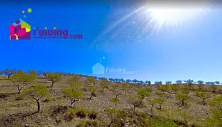 Masía en Huércal - Overa. Este terreno se encuentra en los cabreras, vélez-rubio, almería.