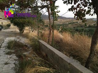 Masia en Fines. Este casa rstica se encuentra en paraje el palomar 04869, fines