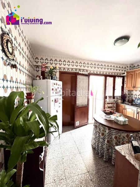 Foto 6b06f10e-aaef-46c1-b2bd-f7af49afe5ff. Pis a Albox