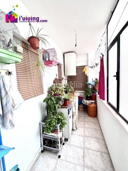 Foto ef8c9f6f-7f5c-4fb3-b311-118521aa5e21. Pis a Albox