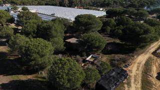 Terreny residencial a Almonte. Parcela rústica almonte