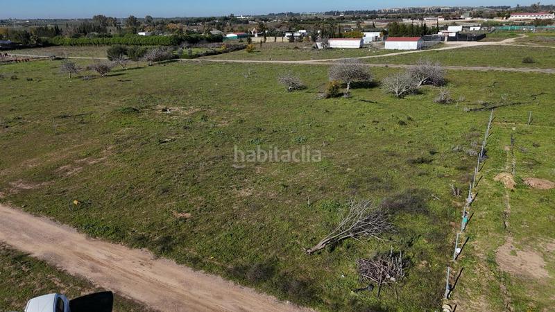 Foto 65a2f877-6c10-40f3-98ea-94fe2c73ca09. Terreno residencial parcela rústica, zona la indiana en Utrera