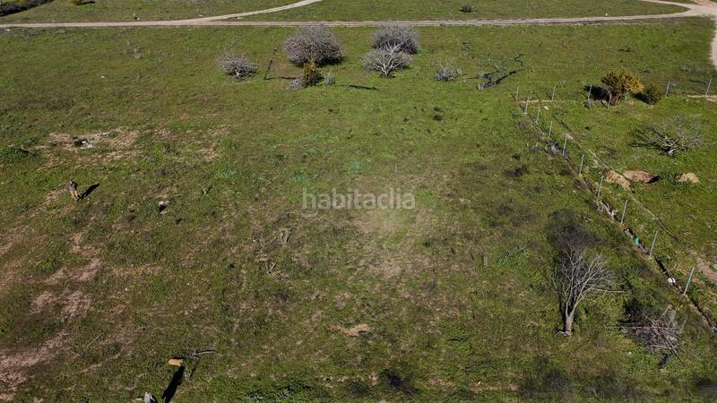 Foto a050a1c2-ca85-40e3-9471-0cb0d06aa0c6. Terreno residencial parcela rústica, zona la indiana en Utrera