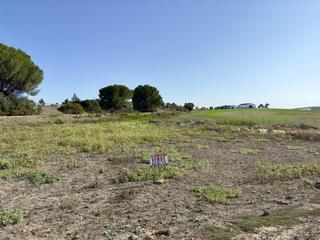 Terreny residencial a Cabezas de San Juan (Las). Terreno rustico en zona la rentilla