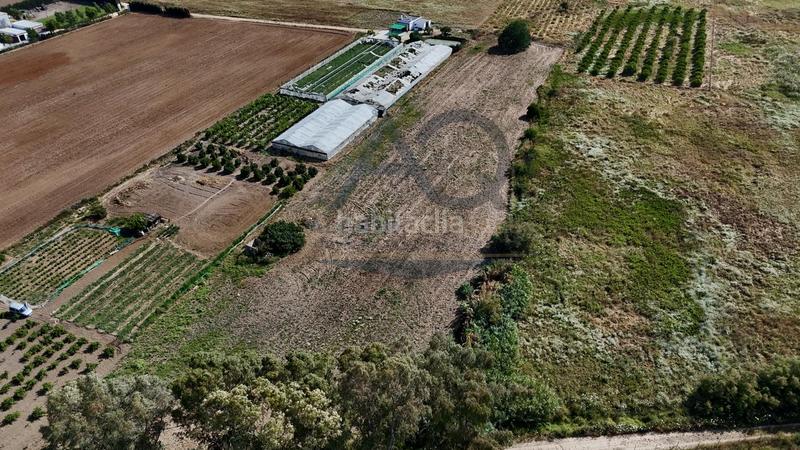 Foto 007ec779-5bbf-47d6-877c-1cf9c8331512. Terreno residencial nueva parcela a la venta! en Palacios y Villafranca (Los)