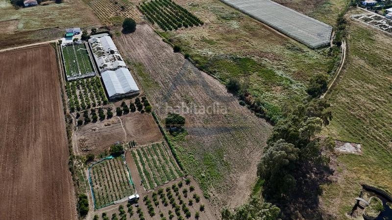 Foto 769d9eee-3c0a-4391-b9bf-a56682a08f94. Terreno residencial nueva parcela a la venta! en Palacios y Villafranca (Los)