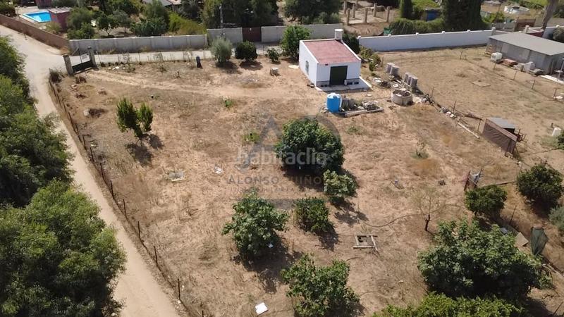 Foto d1f900b4-1adc-43be-9806-f7f20b6364f7. Mas dans Torre Cruz - Los Molinos Utrera
