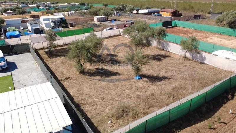 Foto 2215129e-fb39-4799-842d-838845208cda. Terreno residencial parcela rústica en urbanización olivares. en Dos Hermanas