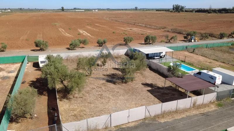 Foto a2610fe3-8956-4aac-9c71-7b6a4ed0db96. Terreno residencial parcela rústica en urbanización olivares. en Dos Hermanas