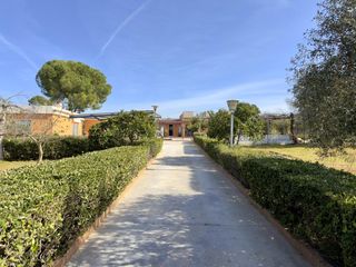 Casale  Venus