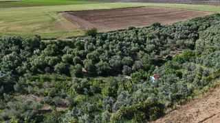 Terreno residencial  Poligono 27 parcela. Parcela rustica en zona doña juanilla