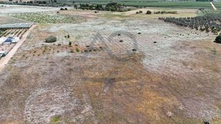 Wohngrundstück in Palacios y Villafranca (Los). Terreno de secano