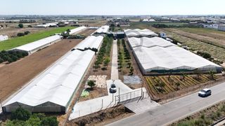 Terreny residencial a Palacios y Villafranca (Los)
