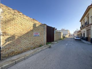Terreny residencial a Cabezas de San Juan (Las). Solar urbano en zona algodonera