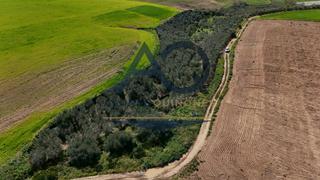Terreny residencial a Cabezas de San Juan (Las). Parcela rustica zona doña juanilla