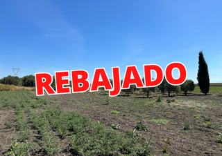 Terreny residencial a Cabezas de San Juan (Las). Parcela rustica en zona las cruces