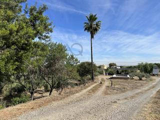 Masia en Cabezas de San Juan (Las). Finca rustica en zona rancho cortes