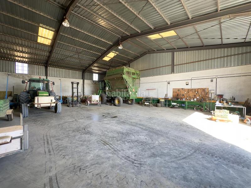 Foto e093b327-c7b0-4f49-a26f-1dedf7327a59. Nau industrial a Torre Cruz - Los Molinos Utrera